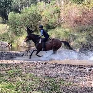 Meet your Posher, Brianna